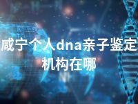 咸宁个人dna亲子鉴定机构在哪