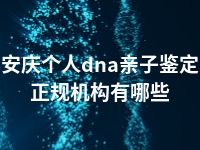 安庆个人dna亲子鉴定正规机构有哪些