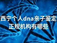 西宁个人dna亲子鉴定正规机构有哪些