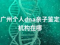 广州个人dna亲子鉴定机构在哪