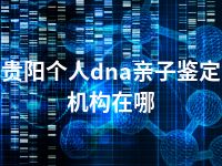 贵阳个人dna亲子鉴定机构在哪