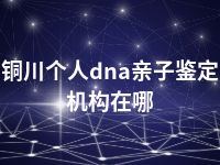 铜川个人dna亲子鉴定机构在哪