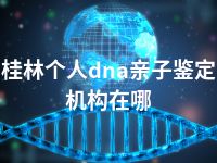 桂林个人dna亲子鉴定机构在哪