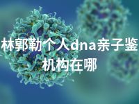 锡林郭勒个人dna亲子鉴定机构在哪