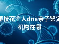 攀枝花个人dna亲子鉴定机构在哪