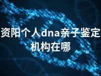 资阳个人dna亲子鉴定机构在哪