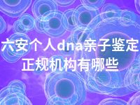 六安个人dna亲子鉴定正规机构有哪些