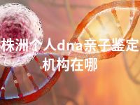 株洲个人dna亲子鉴定机构在哪