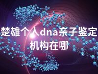 楚雄个人dna亲子鉴定机构在哪