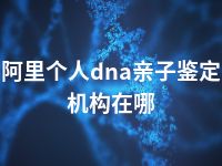 阿里个人dna亲子鉴定机构在哪