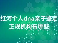 红河个人dna亲子鉴定正规机构有哪些