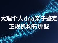 大理个人dna亲子鉴定正规机构有哪些