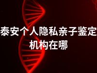 泰安个人隐私亲子鉴定机构在哪