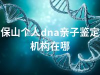 保山个人dna亲子鉴定机构在哪