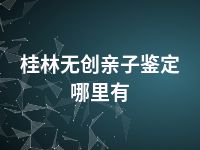 桂林无创亲子鉴定哪里有