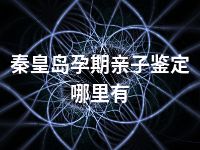 秦皇岛孕期亲子鉴定哪里有