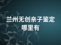 兰州无创亲子鉴定哪里有