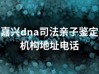 嘉兴dna司法亲子鉴定机构地址电话