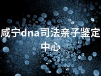 咸宁dna司法亲子鉴定中心