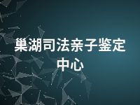 巢湖司法亲子鉴定中心