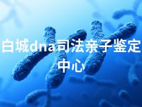 白城dna司法亲子鉴定中心