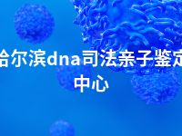 哈尔滨dna司法亲子鉴定中心