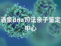 酒泉dna司法亲子鉴定中心