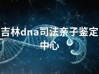 吉林dna司法亲子鉴定中心