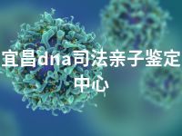 宜昌dna司法亲子鉴定中心