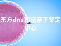 东方dna司法亲子鉴定中心