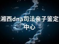 湘西dna司法亲子鉴定中心