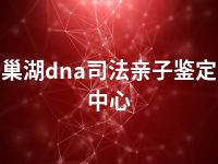 巢湖dna司法亲子鉴定中心