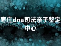 枣庄dna司法亲子鉴定中心