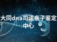 大同dna司法亲子鉴定中心