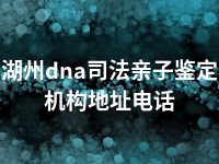 湖州dna司法亲子鉴定机构地址电话