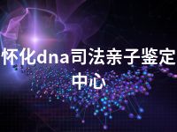 怀化dna司法亲子鉴定中心