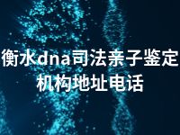 衡水dna司法亲子鉴定机构地址电话