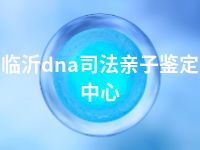 临沂dna司法亲子鉴定中心