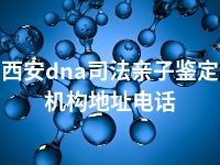 西安dna司法亲子鉴定机构地址电话