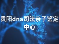 贵阳dna司法亲子鉴定中心