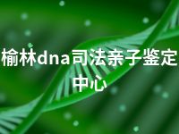 榆林dna司法亲子鉴定中心