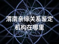 渭南亲缘关系鉴定机构在哪里