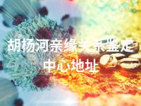 胡杨河亲缘关系鉴定中心地址