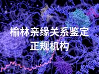 榆林亲缘关系鉴定正规机构