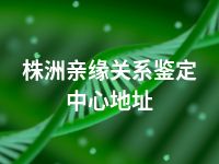 株洲亲缘关系鉴定中心地址