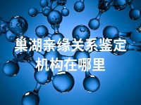 巢湖亲缘关系鉴定机构在哪里