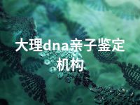 大理dna亲子鉴定机构