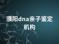 濮阳dna亲子鉴定机构