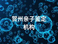 贺州亲子鉴定机构