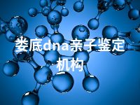 娄底dna亲子鉴定机构